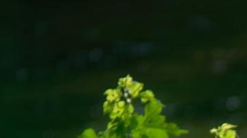 Hay mujeres que, astrológicamente, no pueden cortar una pareja tóxica.