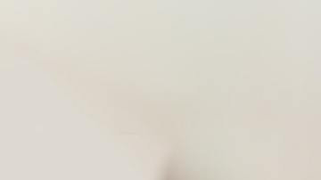 Dicen que ver un gato negro a los ojos es de mala suerte.