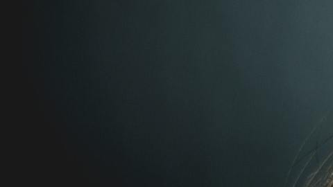 Hay signos que son muy desesperados.