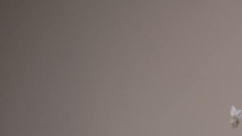 La meditación es una opción para limpiar la mente.