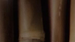 Conoce qué signos visten mejor.