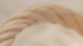 Conoce lo que significa soñar con un bebé.