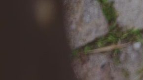 Hay signos que son fáciles de engañar.