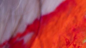 Los colores poseen un singular significado en los sueños.