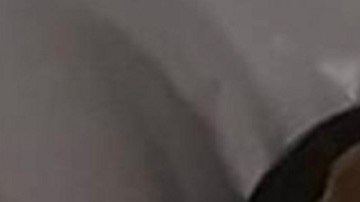 Fotografía cedida por Emily Visnic donde se ve a la pitón en su lavadora.