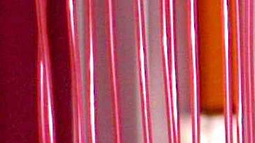 Maite Perroni, Anahí y Dulce María formaron parte de RBD.