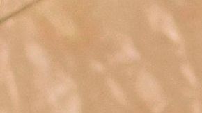 Enfermedad de Lyme se propaga por todo Estados Unidos