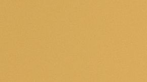 shutterstock_310383950