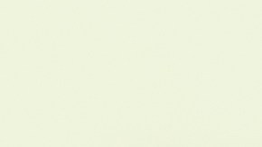 beber agua ejercicio