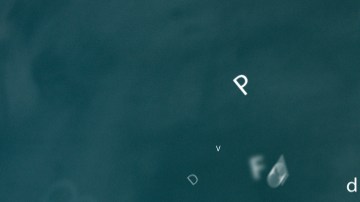 ¿Tienes idea de qué es la ortología?