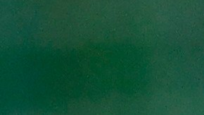 Diego Simeone, entrenador del Atlético de Madrid.