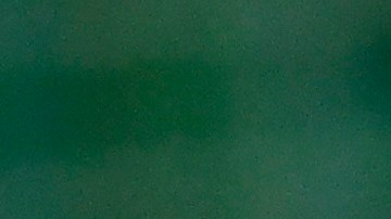 Diego Simeone, entrenador del Atlético de Madrid.