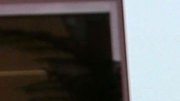 Carolina Sandoval, ex presentadora de 'Suelta La Sopa'.