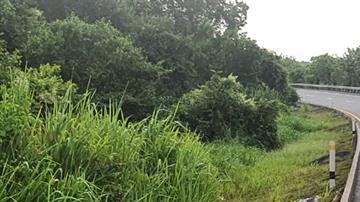 Violencia en Tabasco,