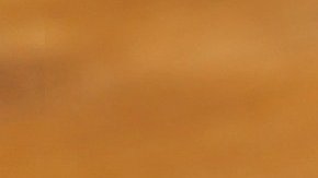 Té de canela y limón.