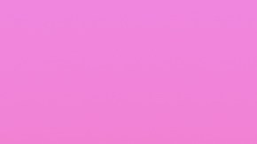 Telemundo y Univision se pelean la audiencia cada noche.