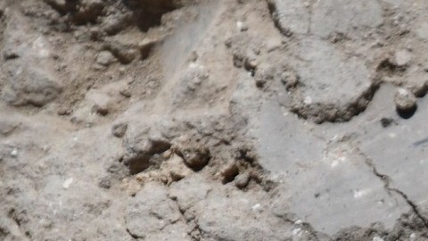 tesoro