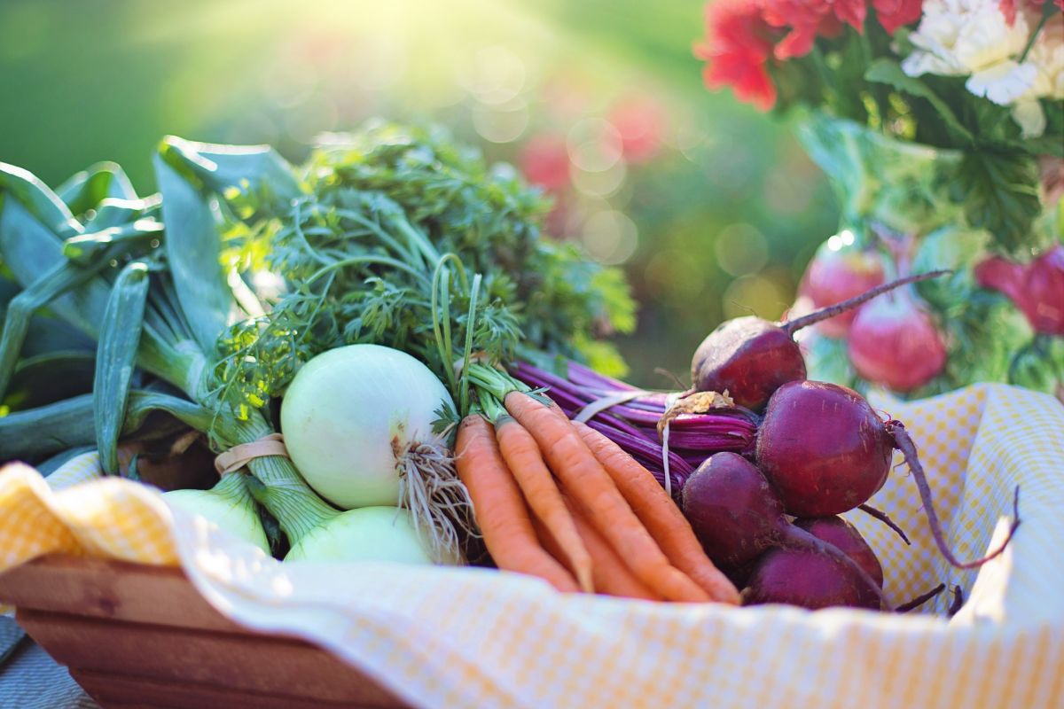 Conoce la inspiradora historia de Josephine Spagnero y su inicio en la dieta vegetariana.