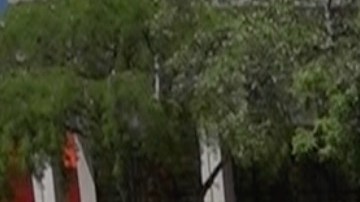 Un vehículo de la policía de la ciudad de Miami.