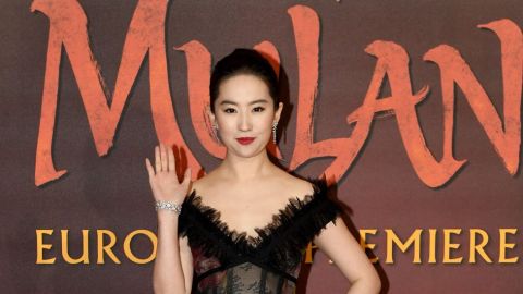 114248242_mulan