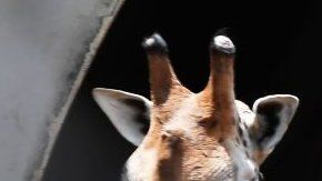 Las matemáticas y los números nacieron para resolver problemas reales.