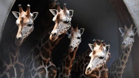 Las matemáticas y los números nacieron para resolver problemas reales.