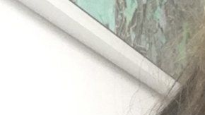 114331501_anna2crop