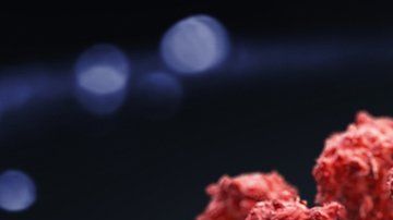 La pandemia del coronavirus ha causado millones de muertes a nivel mundial.