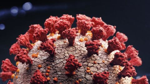 La pandemia del coronavirus ha causado millones de muertes a nivel mundial.