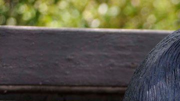 Mafalda nació en 1964.