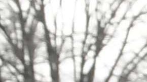 Cientos de miles serían deportados al terminar su TPS.