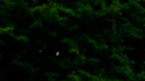 La mexicana denuncia que se sentía constantemente expuesta por su identidad de género.