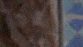 La presidenta del Concejo de Los Ángeles, Nury Martínez hizo desafortunados comentarios durante una reunión.