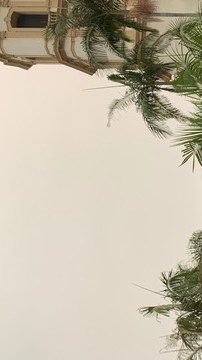 Krystal Gil y Jack Scanlon unieron sus vidas después de suspender su boda varias veces por la pandemia. (Cortesía familia Gil)