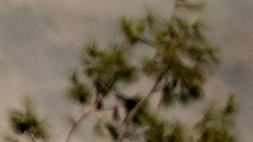 Algunos de los bomberos del Departamento de Bomberos del Puerto de Los Ángeles ganaron sueldos exhorbitantes en 2020. (EFE)