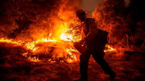 Bobcat fire in California