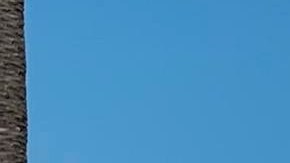 El autobús que usan los activistas para recorrer el país.