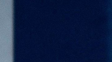 El presidente Trump ha difundido muchas veces teorías de la conspiración.