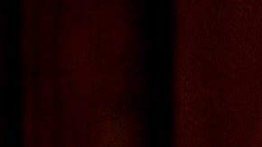 Trump estaba, en realidad, esperando a la primera dama, Melania Trump.