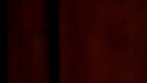 Trump estaba, en realidad, esperando a la primera dama, Melania Trump.