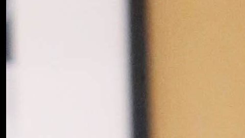 Daniel Sarcos.