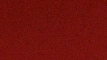 El Lobo Mexicano posee un puntaje de 84 sobre 100.