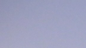 IATA espera reactivar vuelos.