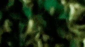 Los siete disparos de un policía a Jacob Blake avivaron la agitación social.