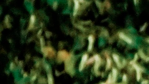 Los siete disparos de un policía a Jacob Blake avivaron la agitación social.