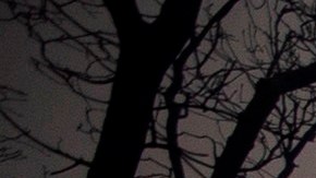 Los bomberos trabajan a destajo antes de que lleguen vientos cálidos y secos.