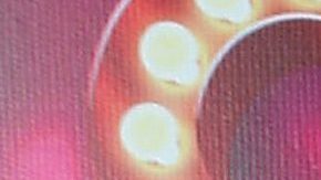 Emilio Osorio | Mezcalent.