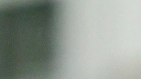 Alfredo talavera pumas américa