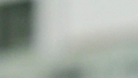 Alfredo talavera pumas américa