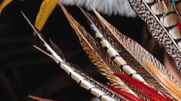 Foto: Aquarium of the Pacific